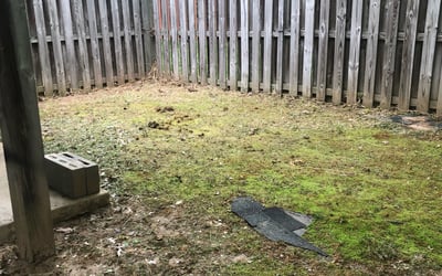 Photo of Isaiah V.'s yard after getting tree care in Salisbury, MD