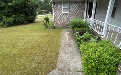 Photo of Pamela J.'s yard after getting landscaping in West Columbia, SC