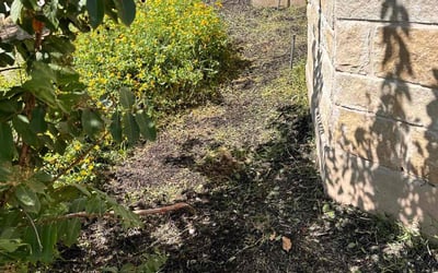 Photo of Kristin M.'s yard after getting landscaping in Mc Dade, TX