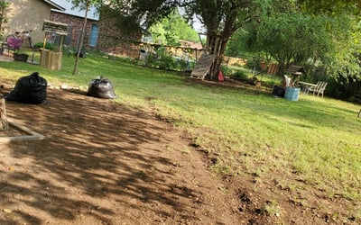Photo of Dawn B.'s yard after getting landscaping in Marion, TX