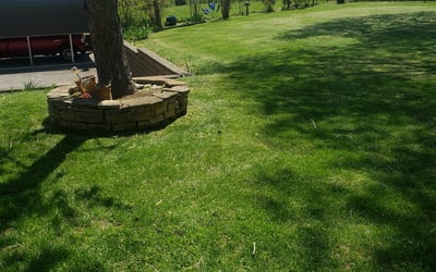 Photo of Penelope B.'s yard after getting landscaping in Carthage, TN