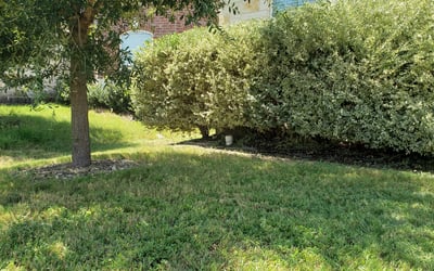 Photo of Adam L.'s yard after getting landscaping in Kingsbury, TX