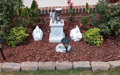 Photo of Derrick K.'s yard after getting tree care in Louisburg, NC