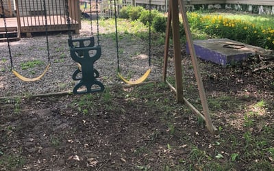 Photo of Jim C.'s yard after getting landscaping in Glencoe, KY