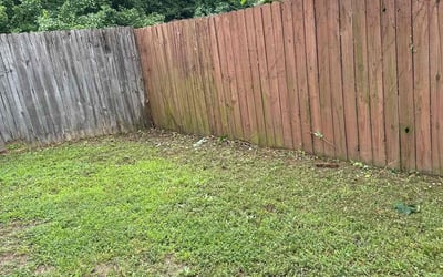 Photo of Michael S.'s yard after getting landscaping in Garner, NC