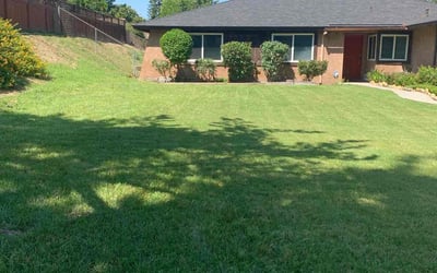 Photo of Stephanie S.'s yard after getting landscaping in Apple Valley, CA
