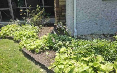 Photo of Javier V.'s yard after getting lawn care in Doylestown, PA