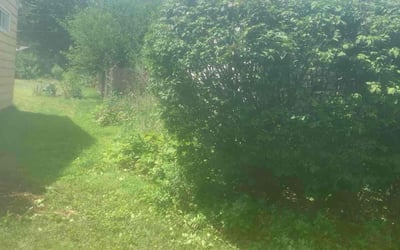 Photo of Javaris O.'s yard after getting tree care in West Chicago, IL