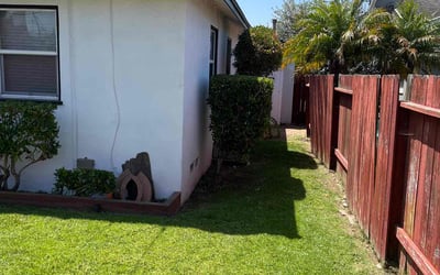 Photo of Deanna A.'s yard after getting tree care in Truckee, CA