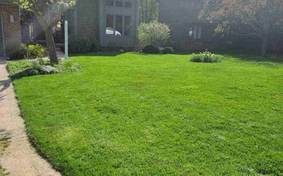 Photo of Rebecca J.'s yard after getting landscaping in Okemos, MI
