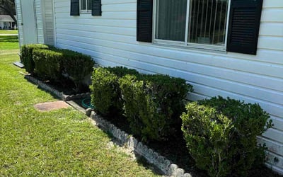 Photo of Naomi H.'s yard after getting tree care in Ocala, FL