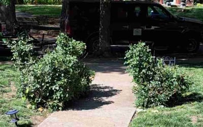 Photo of Jane M.'s yard after getting landscaping in Adrian, MO