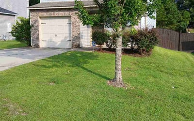 Photo of Jessica M.'s yard after getting lawn care in Camden, SC