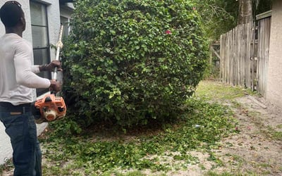 Photo of Alicia C.'s yard after getting landscaping in Casselberry, FL