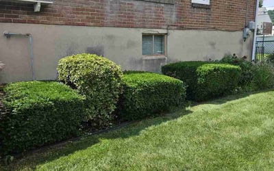 Photo of Robin A.'s yard after getting landscaping in Reading, PA
