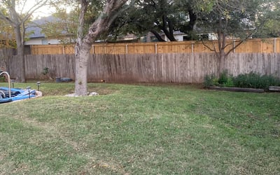 Photo of Angela M.'s yard after getting landscaping in Schwertner, TX