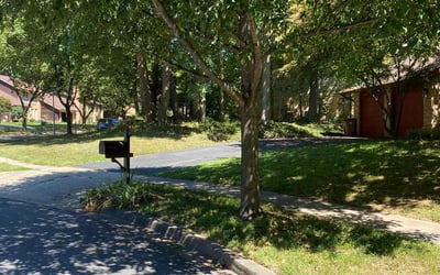 Photo of Sal S.'s yard after getting tree care in Salisbury, MD