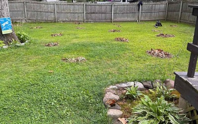 Photo of Robert S.'s yard after getting landscaping in Vernon Rockville, CT