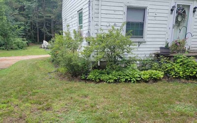 Photo of Jessica S.'s yard after getting landscaping in Stratham, NH