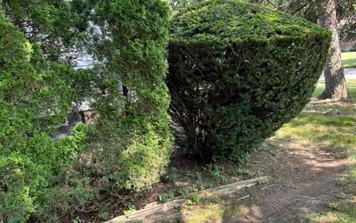 Photo of Roderick V.'s yard after getting landscaping in Maple Heights, OH