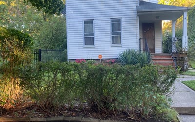 Photo of Cheryl E.'s yard after getting tree care in Willoughby, OH
