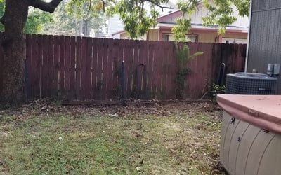 Photo of Nancy H.'s yard after getting tree care in Newport News, VA