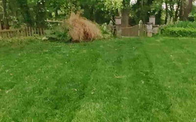 Photo of Lela G.'s yard after getting tree care in Owings Mills, MD
