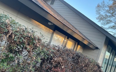 Photo of Anthony T.'s yard after getting tree care in Baton Rouge, LA