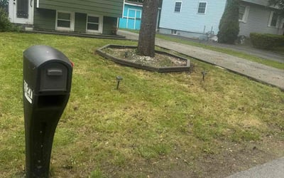 Photo of Christina C.'s yard after getting lawn care in Schenectady, NY