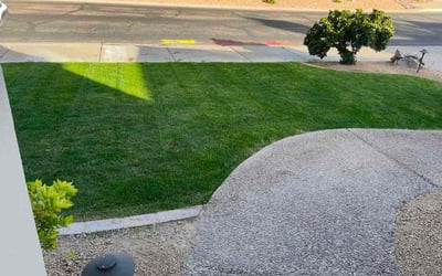 Photo of Angelo C.'s yard after getting lawn care in Scottsdale, AZ