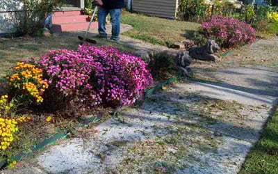 Photo of Elizabeth M.'s yard after getting landscaping in Tipp City, OH