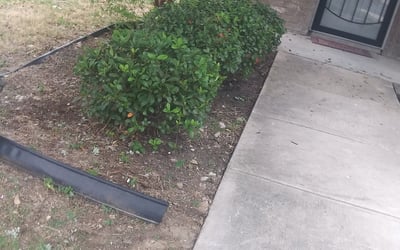 Photo of Belinda B.'s yard after getting landscaping in Von Ormy, TX