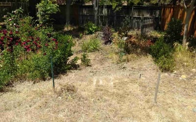 Photo of Gary T.'s yard after getting landscaping in Fairfield, CA