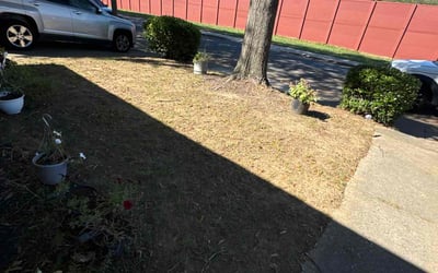 Photo of Elizabeth C.'s yard after getting landscaping in Smyrna, SC