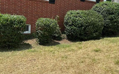 Photo of Dawn B.'s yard after getting landscaping in High Point, NC