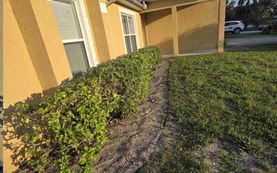 Photo of Jeannette G.'s yard after getting landscaping in Vero Beach, FL