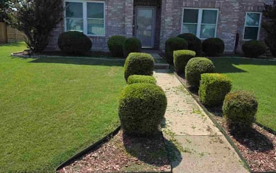 Photo of Tiffany T.'s yard after getting landscaping in Cedar Hill, TX
