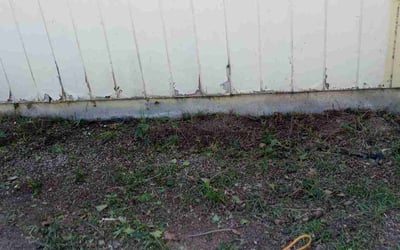 Photo of Lisa D.'s yard after getting landscaping in Boise, ID