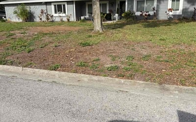 Photo of Brian L.'s yard after getting landscaping in Brandon, FL