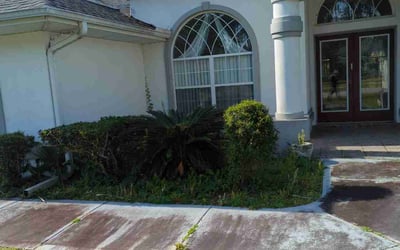 Photo of Katherine T.'s yard after getting tree care in Deltona, FL