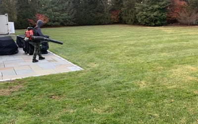 Photo of Alex B.'s yard after getting landscaping in Redding, CT