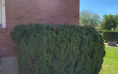 Photo of Haibing Y.'s yard after getting landscaping in American Fork, UT