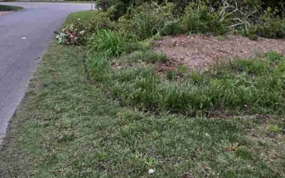 Photo of Jennifer S.'s yard after getting landscaping in Cobbs Creek, VA