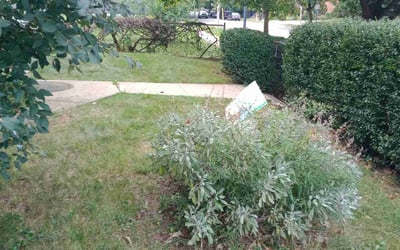 Photo of Sabra W.'s yard after getting landscaping in Raymond, OH