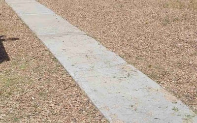 Photo of Mary R.'s yard after getting landscaping in Corrales, NM
