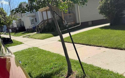 Photo of Patricia C.'s yard after getting landscaping in Racine, WI