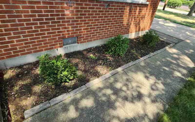 Photo of Tod P.'s yard after getting landscaping in Elmhurst, IL