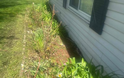 Photo of Joseph N.'s yard after getting landscaping in West Bloomfield, MI
