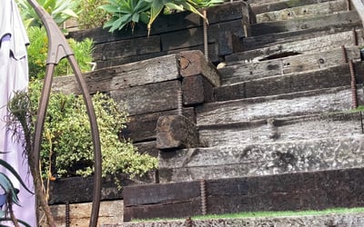 Photo of Monique A.'s yard after getting tree care in Camarillo, CA