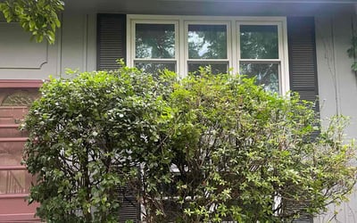 Photo of Sarah F.'s yard after getting landscaping in Kansas City, MO